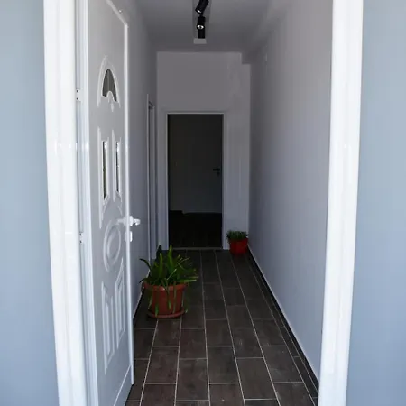 Qetesia فيلة
